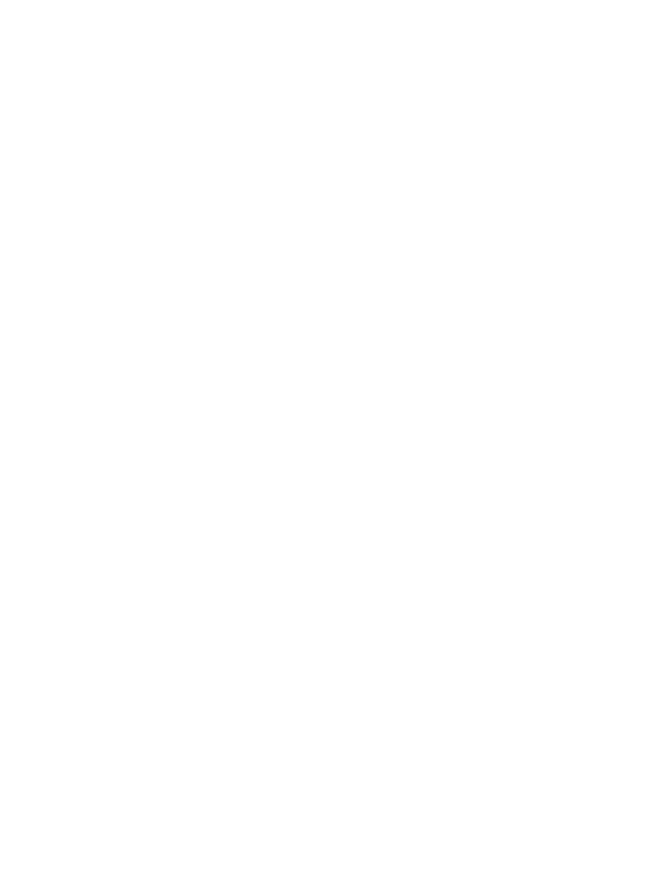 Bolt Multiservice